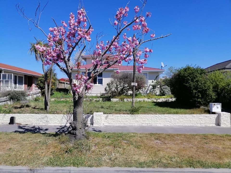 Homestay Double Room, Near The City Center Christchurch Exterior foto
